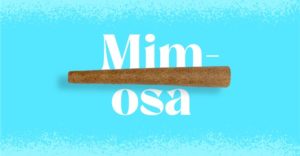 Mimosa Doinks Cannabis Blunt