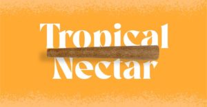 Tropical Nectar Doinks Cannabis Blunt