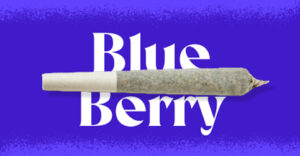Blueberry Flavor Infused Cannabis Joint