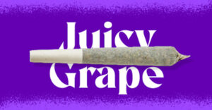 Juicy Grape Flavor Infused Cannabis Joint