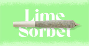 Lime Sorbet Flavor Infused Weed Joint