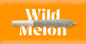 Wild Melon Flavor Infused Cannabis Joint
