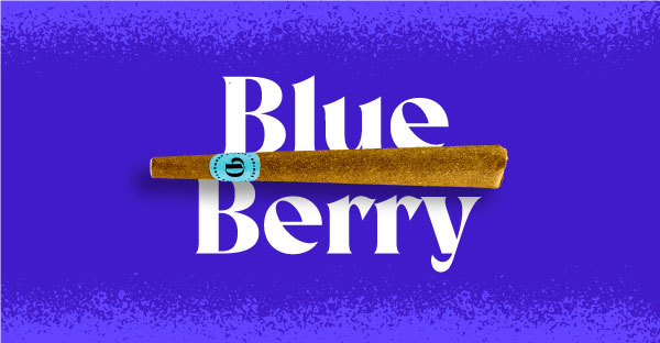 Blue Berry Doinks Cannabis Blunt