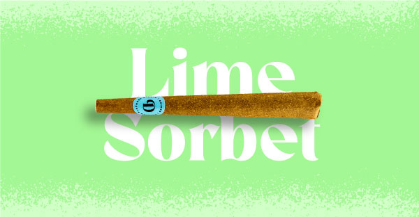Lime Sorbet Doinks Cannabis Blunt